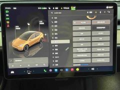 Tesla Model Y Long Range All-Wheel Drive - ფოტო 9
