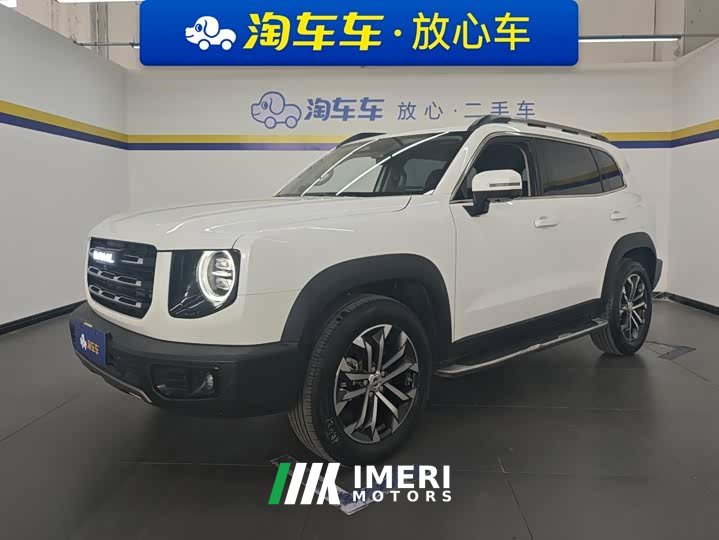 Great Wall Dachshund 1.5T DCT Two-Wheel Drive Border Collie Edition