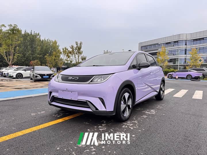BYD Dolphin 420km Fashion Edition - ავტომობილი ჩინეთიდან