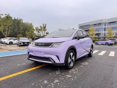 BYD Dolphin 420km Fashion Edition - ფოტო 1