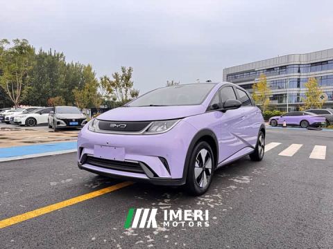 2023 BYD Dolphin 420km Fashion Edition - автомобиль из Китая