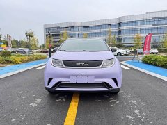 BYD Dolphin 420km Fashion Edition - ფოტო 2