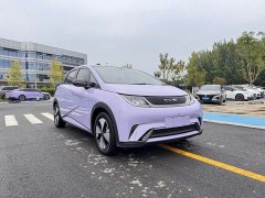 BYD Dolphin 420km Fashion Edition - ფოტო 3