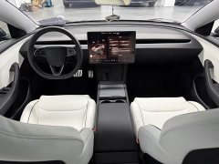 Tesla Model 3 High Performance All-Wheel Drive - ფოტო 6