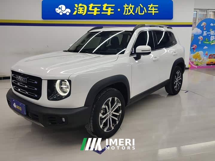 Great Wall Dachshund 1.5T DCT Two-Wheel Drive Border Collie Edition