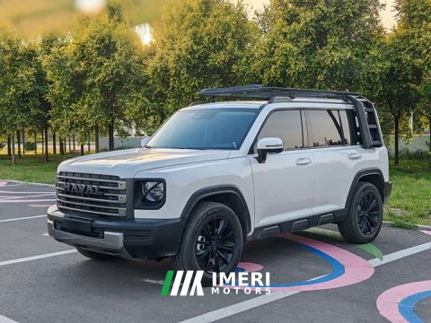 2025 Haval Manlong New Energy 2024 Hi4 102 Pro - ავტომობილი ჩინეთიდან