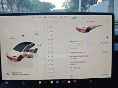 Tesla Model 3 2023 Long Range All-Wheel Drive - ფოტო 18