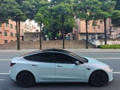 Tesla Model 3 2023 Long Range All-Wheel Drive - ფოტო 6