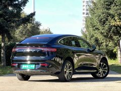 Luxeed Zhiji R7 Pure Electric 736km Ultra - ფოტო 6