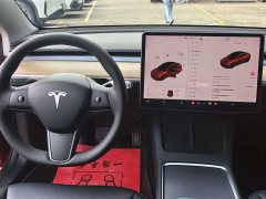 Tesla Model 3 Standard Range RWD Upgrade - ფოტო 10