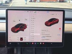 Tesla Model 3 Standard Range RWD Upgrade - ფოტო 11