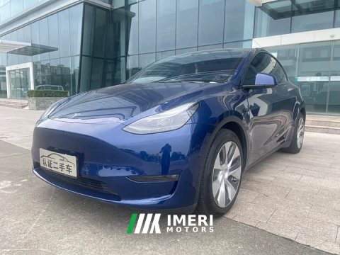 2022 Tesla Model Y 2021 Standard Range RWD - ავტომობილი ჩინეთიდან