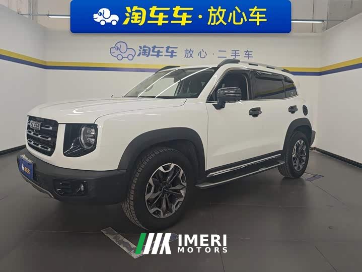 Great Wall Dachshund 2.0T DCT Four-Wheel Drive Howling Celestial Dog Edition