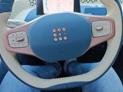Dongfeng Wuling Mini EV Candy Edition Lollipop - ფოტო 13