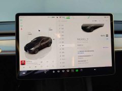 Tesla Model Y Long Range All-Wheel Drive - ფოტო 14