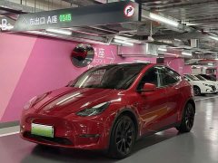 Tesla Model Y Long Range All-Wheel Drive - ფოტო 1