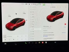 Tesla Model Y Long Range All-Wheel Drive - ფოტო 10