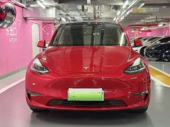 Tesla Model Y Long Range All-Wheel Drive - ფოტო 4
