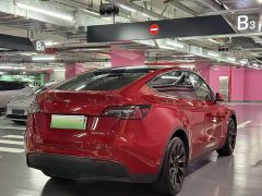 Tesla Model Y Long Range All-Wheel Drive - ფოტო 6