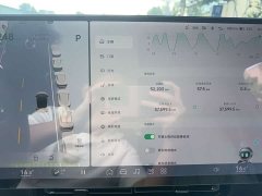 Xpeng P7 2024 Long Range Max - ფოტო 4