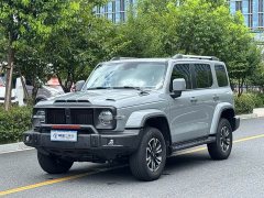 Tank 300 Urban Edition 2.0T I-Look - ფოტო 1