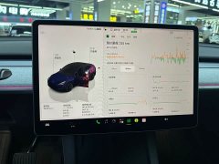 Tesla Model Y Facelift Rear-Wheel Drive - ფოტო 10