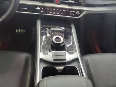 Kia Lion Pibo Tuojie 2023 2.0T Two-Wheel Drive Flagship - ფოტო 9