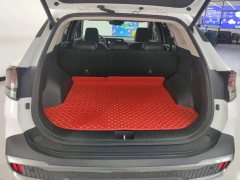 Kia Lion Pibo Tuojie 2023 2.0T Two-Wheel Drive Flagship - ფოტო 1