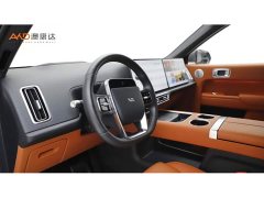 Li Auto L9 2022 Max - ფოტო 6