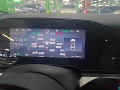 BYD Dolphin 06 EV 470KM Prestige Edition - ფოტო 13