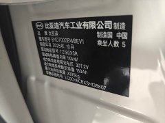 BYD Dolphin 06 EV 470KM Prestige Edition - ფოტო 4