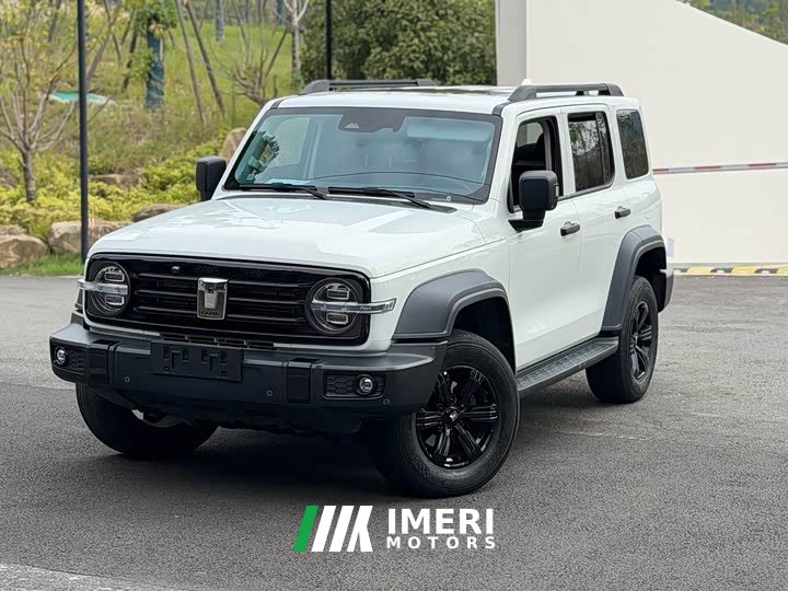 Tank 300 Off-Road Edition 2.0T Conqueror - ავტომობილი ჩინეთიდან