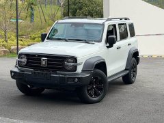 Tank 300 Off-Road Edition 2.0T Conqueror - ფოტო 1