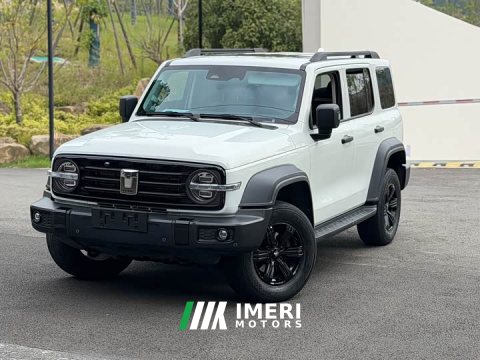 2021 Tank 300 Off-Road Edition 2.0T Conqueror - ავტომობილი ჩინეთიდან