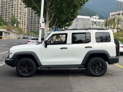 Tank 300 Off-Road Edition 2.0T Conqueror - ფოტო 4