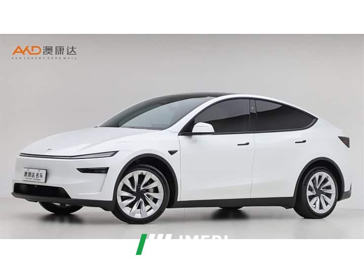 Tesla Model Y Rear-Wheel Drive - ავტომობილი ჩინეთიდან