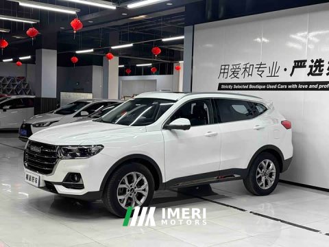 2022 Haval H6 2021 National Trend 1.5T Automatic Champion Edition - ავტომობილი ჩინეთიდან