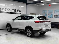 Haval H6 2021 National Trend 1.5T Automatic Champion Edition - ფოტო 4