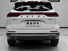 Haval H6 2021 National Trend 1.5T Automatic Champion Edition - ფოტო 5