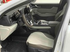 BYD Qin PLUS 2023 Champion Edition DM-i 55KM Leading - ფოტო 7