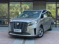 Buick GL8 ES Luxe Enjoyment Edition - ფოტო 1