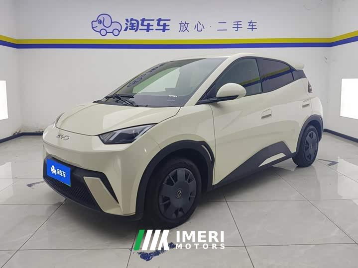 BYD Seagull Glory Edition 305km Vitality Version - ავტომობილი ჩინეთიდან