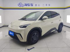 BYD Seagull Glory Edition 305km Vitality Version - ფოტო 1