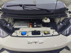 BYD Seagull Glory Edition 305km Vitality Version - ფოტო 10