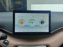 BYD Seagull Glory Edition 305km Vitality Version - ფოტო 13