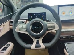 BYD Seagull Glory Edition 305km Vitality Version - ფოტო 15