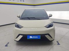 BYD Seagull Glory Edition 305km Vitality Version - ფოტო 2