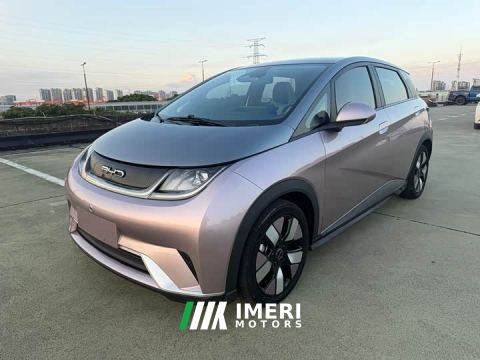 2021 BYD Dolphin 401km Knight Edition - ავტომობილი ჩინეთიდან