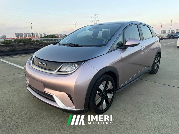 BYD Dolphin 401km Knight Edition