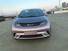 BYD Dolphin 401km Knight Edition - ფოტო 2